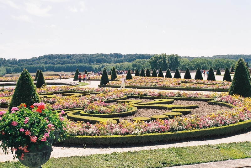 Flower beds and floral patterns in various shapes in the vast garden of Versailles Palace near Paris, the French capital.