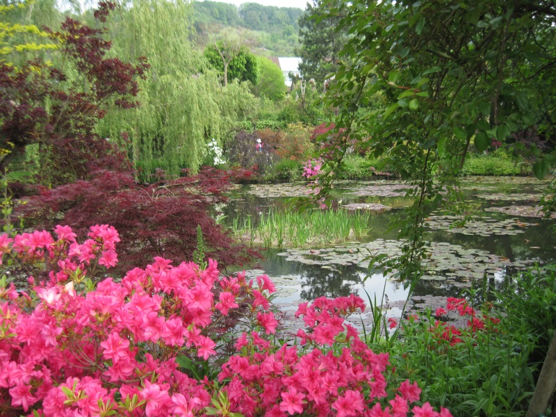 A pond with water lilies, located next to Claude Monet's home, is encircled with various flowers, willows, and other plants.