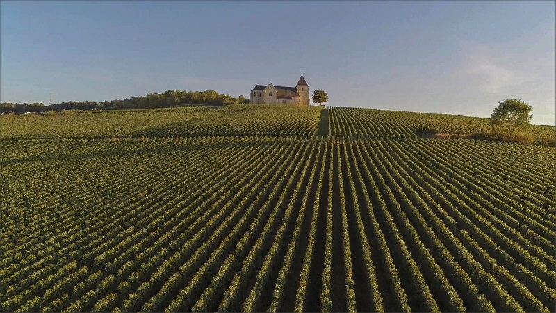 Exploring scenic Champagne vineyards by bike and sampling renowned wines is among the best summer activities in France.