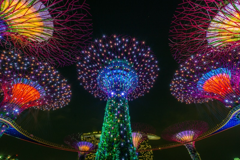 Supertree Grove in Gardens by the Bay, Singapore, boasts 12 vertical gardens called Supertrees that shine during the night.