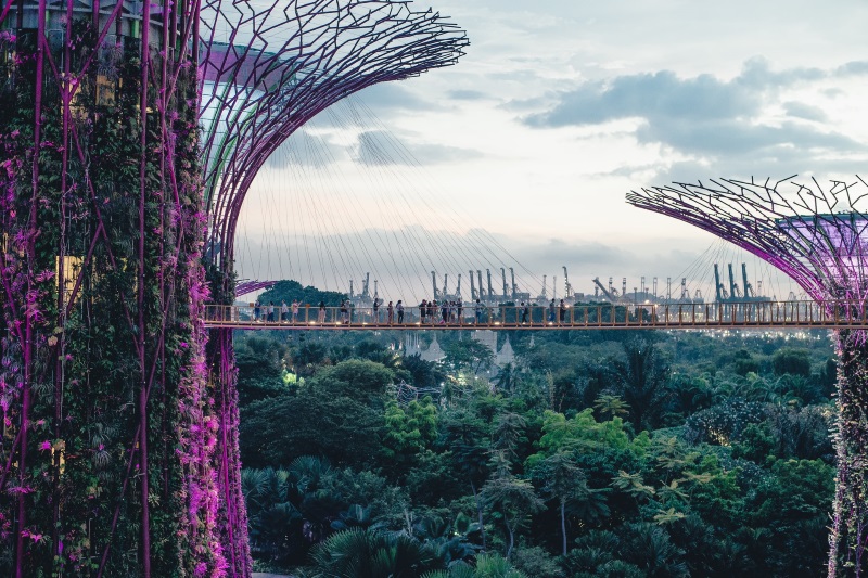 OCBC Skyway is a viewing platform overlooking Gardens by the Bay and one of the highest viewpoints in Marina Bay, Singapore.
