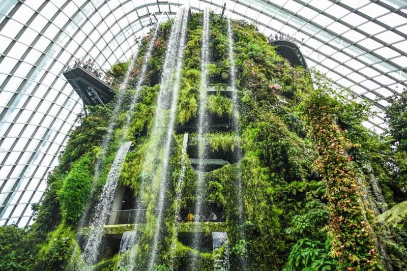 Cloud Forest exhibits plants prospering on high elevations and is one of the top attractions of Marina Bay, Singapore.