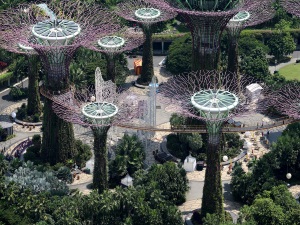 An aerial view reveals the Supertree Grove, a top attraction of Gardens by the Bay nature park in Bay South, Singapore.