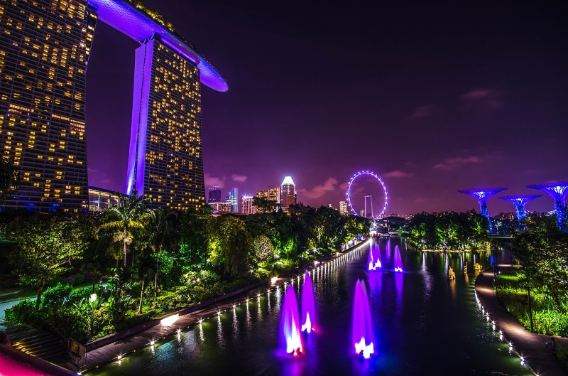 View of Marina Bay Sands Hotel (left), Singapore Flyer (front), and Gardens by the Bay (right) from Dragonfly Lake at night.