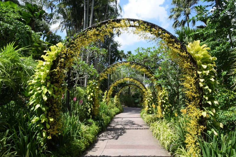 Singapore Botanic Gardens is a vast park displaying many exotic plants and works of art, such as a flower arch and fountains.