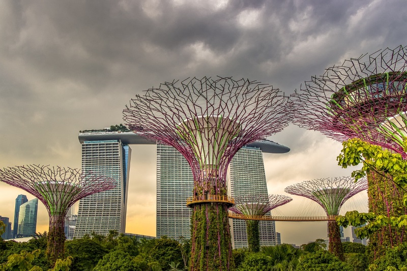 Supertree Grove in the Gardens by the Bay South and Marina Bay Sands Hotel are among the best tourist sites in Singapore.